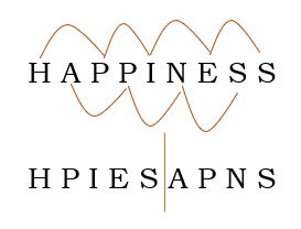 HAPPINESS is HPIESAPNS